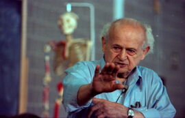 International Feldenkrais® Federation