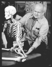 International Feldenkrais® Federation